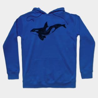 Orca Hoodie